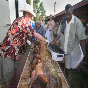 Earth Oven Roast Pig_image