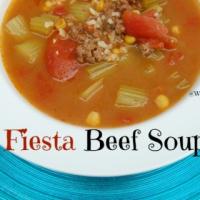 Fiesta Beef Soup_image