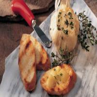 Grilled Garlic with French Bread_image