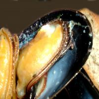 Oven Roasted Mussels image