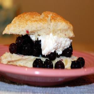 Gingered Blueberry Shortcake image