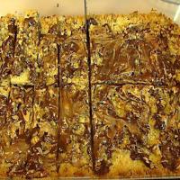 Chocolate and Peanut Butter Meltaway Bars_image