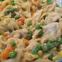 One Dish Chicken Noodles_image