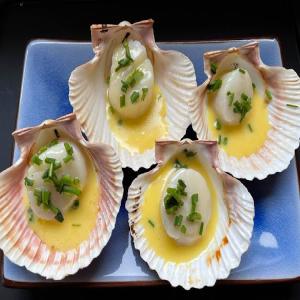 Scallops with Lime Hollandise Sauce_image