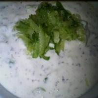 mint and cucumber yoghurt_image