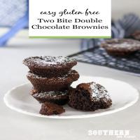 Easy Two Bite Double Chocolate Brownies (Gluten Free!)_image