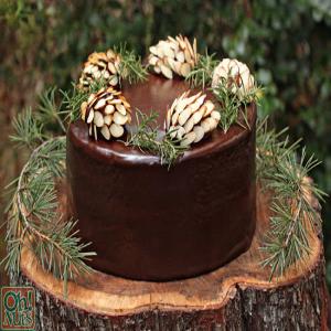 How to Make Chocolate Pine Cones_image