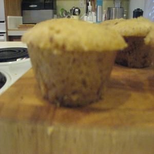 Spiced Maple Corn Muffins for Ninja Cooking System image