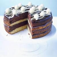 White & dark chocolate cake_image