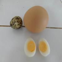 Perfect Hard Boiled Quail Eggs_image