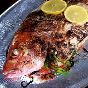 Grilled Red Snapper image