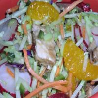 Chinese Chicken Coleslaw Salad image