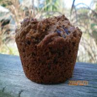 Bran Flax Seed Cranberry Muffins_image