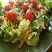 Boston Lettuce Salad With Creamy Orange Shallot Dressing_image