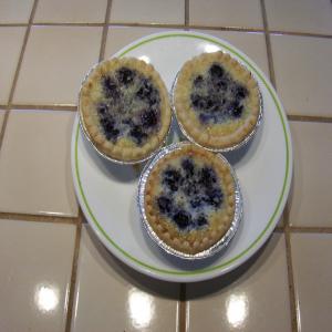 Easiest and Best -Blueberry-Coconut Tarts_image