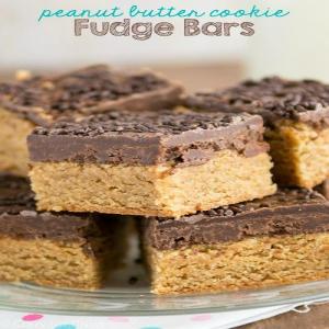 Peanut Butter Cookie Fudge Bars_image