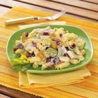Cashew Chicken Rotini Salad Recipe - (5/5)_image