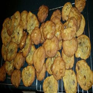 Emma's Crispy Chocolate Chip Walnut Cookies Recipe - (4.4/5)_image