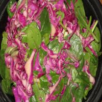 Spinach & Red Cabbage Salad With Orange Dressing_image