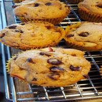 Apple-Chocolate Chip Muffins_image