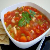 Chicken Vegetable Soup_image