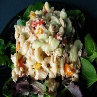 Tuna (Or Chicken) Macaroni Supper Salad_image