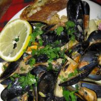 Sarasota's Creamy Mussels over Pasta With Herb Bread_image