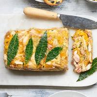 Chicken terrine with leeks & apricots image