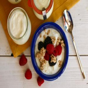 Traditional Homemade Yogurt_image