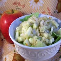 Appel Salade - Apple Salad_image
