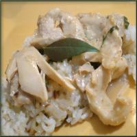 Indian Chicken in White Gravy (Safed Murgh - Curry) image