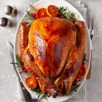 Special Roast Turkey image