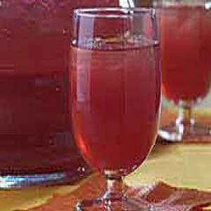 Cranberry-Lemonade Punch image