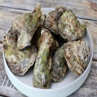 Sautéed Oysters With Wine and Herbs_image