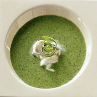 Chilled Watercress Soup with Onion Cream image