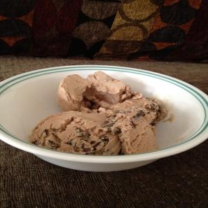 No Churn Chocolate Mint Ice Cream With Chocolate Mint Chips image