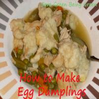 Egg Dumplings Recipe - (3.9/5)_image