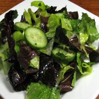 Romaine and Radicchio Salad With Cucumber image