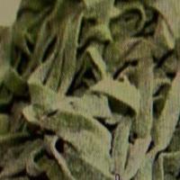 FRESH SPINACH NOODLES- Homemade by hand image