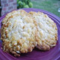 The Anzac Biscuit_image