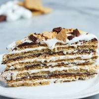 16-Layer No-Bake S'mores Cake Recipe by Tasty_image
