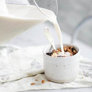 Oat Milk Recipe_image