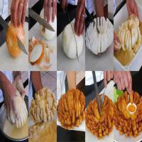 Blooming Onion (Outback style) Recipe - (4.5/5)_image