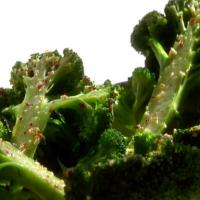 Simple and Satisfying Broccoli_image