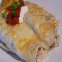 Turbo Cooker Chicken Enchiladas Recipe - (4.3/5)_image