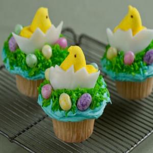 Chick and Egg Cupcake_image