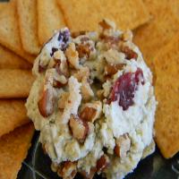 Blue Cheese, Sweet Pecan, and Cranberry Spread image