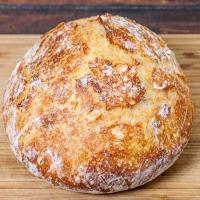 No Knead Crusty Bread_image