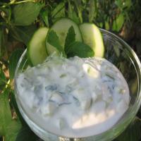 Yogurt Salad (Jajeek)_image