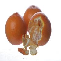 Orange and Olive Salad image